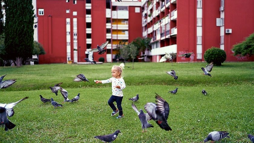 A toddler chases birds in a field in front of a brick apartment building